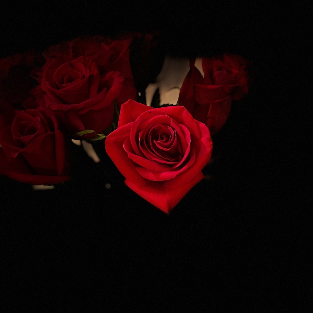 Meet your Posher, Viridiana